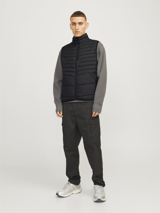 Actual product image Jack & Jones Jjestate Packable Bw Collar Noos (L)