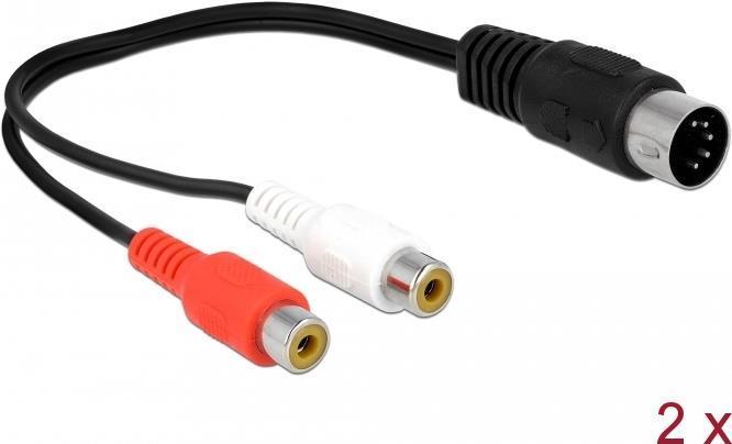 Immagine prodotto Delock 85835 Cavo audio DIN (5-pin) 2 x RCA (0.20 m)