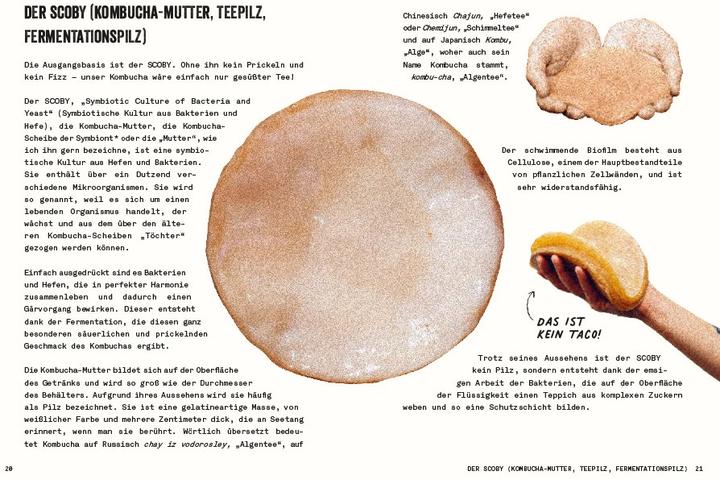 Actual product image Kombucha do it yourself (German, Julie Ponge, 2023)