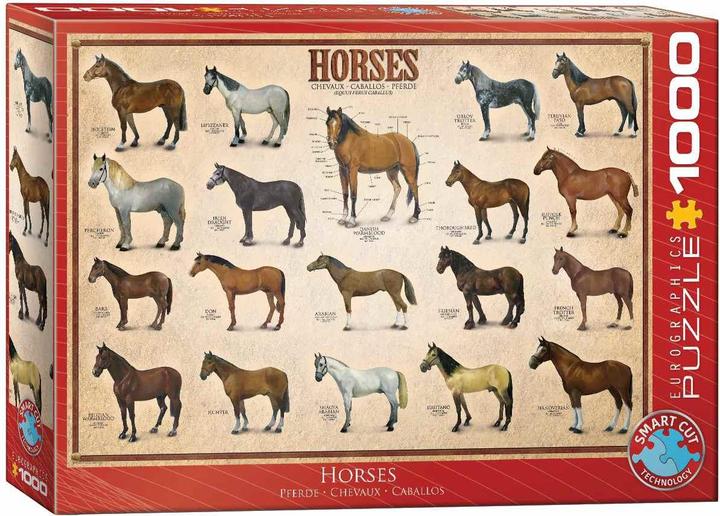 Actual product image Eurographics Horses (1000 pieces)