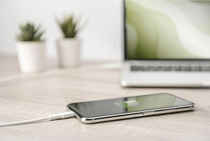 Actual product image Digitus Data / Charger Cable, USB-C - Lightning, MFI (1 m, USB 2.0)