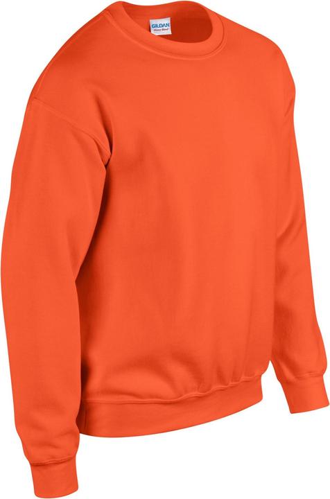 Image du produit Gildan - Sweat - Homme (M)