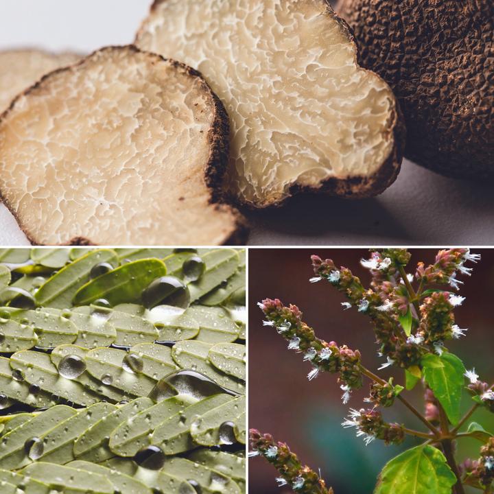 Actual product image Cuccio Naturale Light Body Sufflé White Truffle (Body milk)