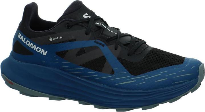 Salomon Ultra Flow GTX