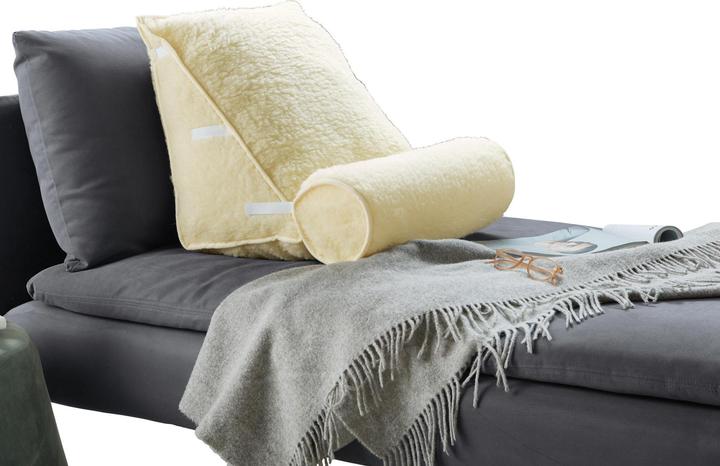 Immagine prodotto Erwin Müller Cuscino dello schienale con bolster (Toilette)