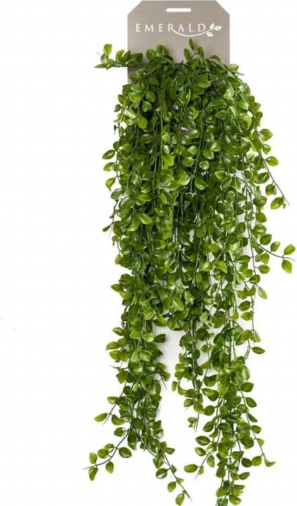 Produktbild Emerald Kunstpflanze (80 cm)