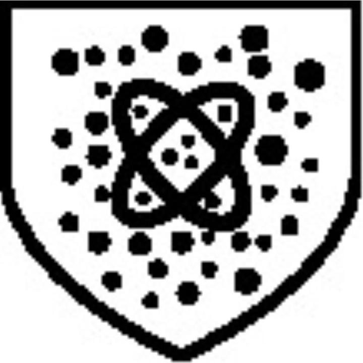 Produktbild Dupont Chemikalienschutzanzug (L)