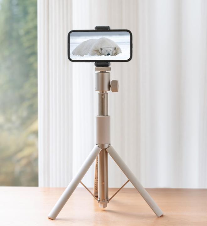 Produktbild XGIMI Light Gold Portable Stand (Tisch, Boden)