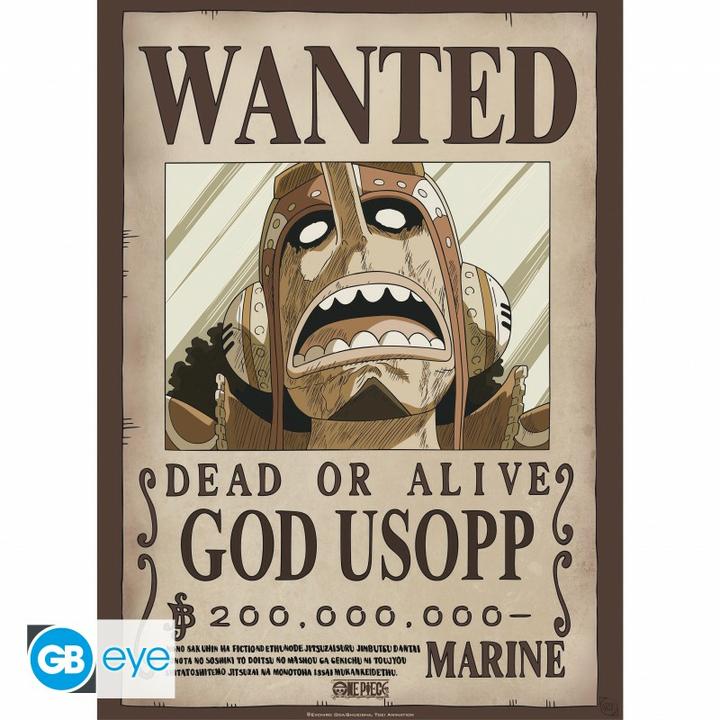 Produktbild GB Eye One Piece - Franky & Usopp (52 x 38 cm)