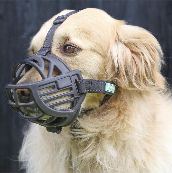 Actual product image Freedog Muzzle Ergo Plus S (S, Dog, Dog sport)