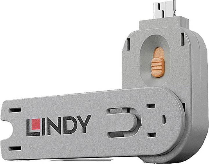 Actual product image Lindy Key for USB port lock