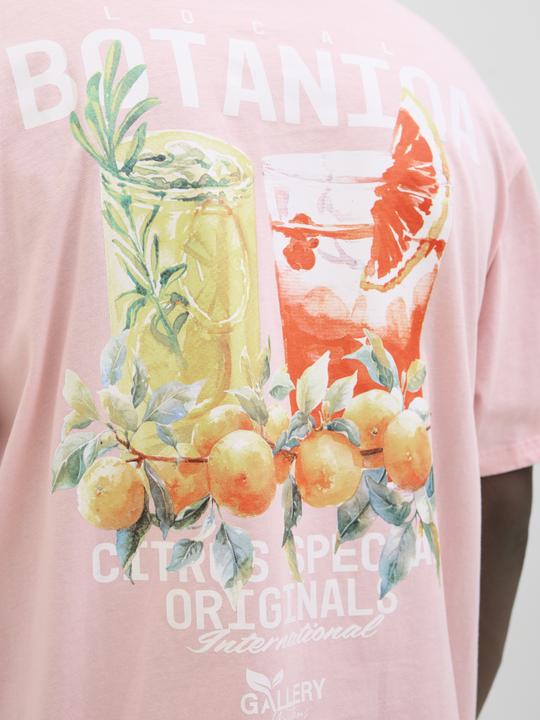 Actual product image Jack & Jones Jorbotaniq Tee Ss Crew Neck Tg Ln (M)