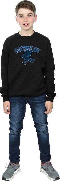 Immagine prodotto Ravenclaw Sport Emblem Felpa Ragazzi (140, 146)