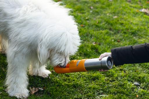 Actual product image Beeztees Drinking bottle (0.53 l)