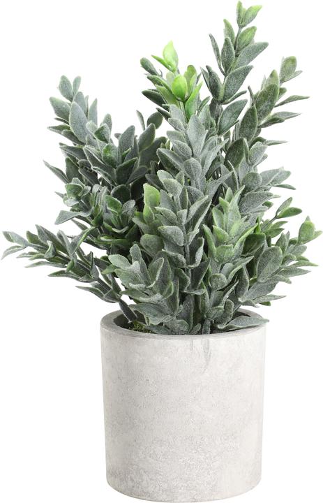EGLO LIVING Chitoso (22 cm)