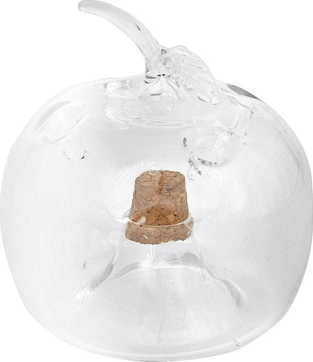 Actual product image Esschert Design Fruit fly trap apple