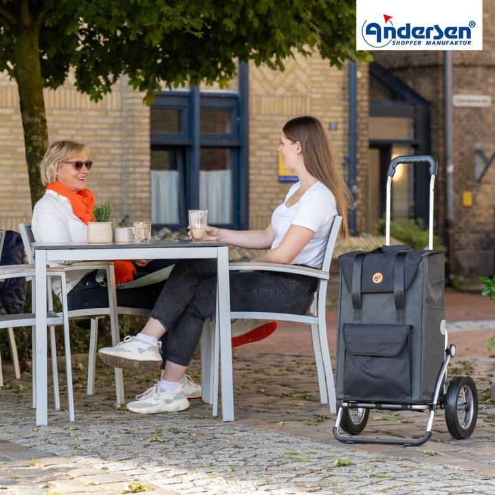 Image du produit Andersen Chariot d'achat Royal Senta 2.0