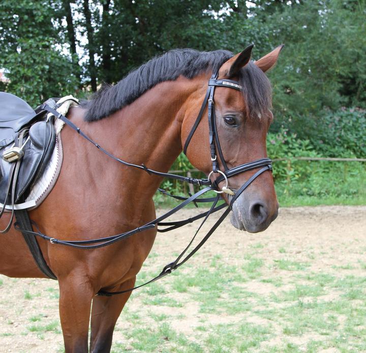 Actual product image Kerbl Triangle reins