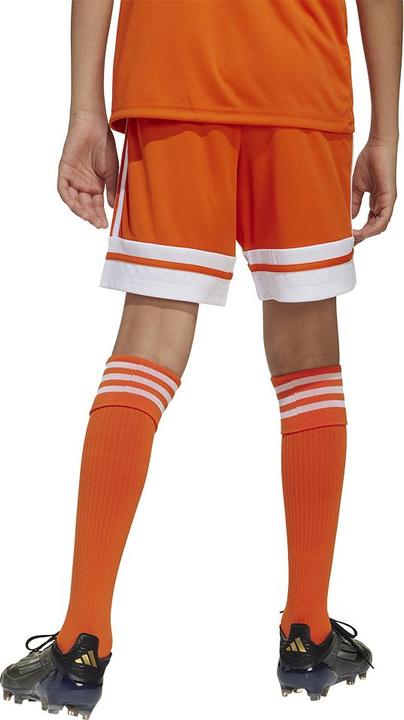 Actual product image adidas Squadra 25 Short Kids (152)