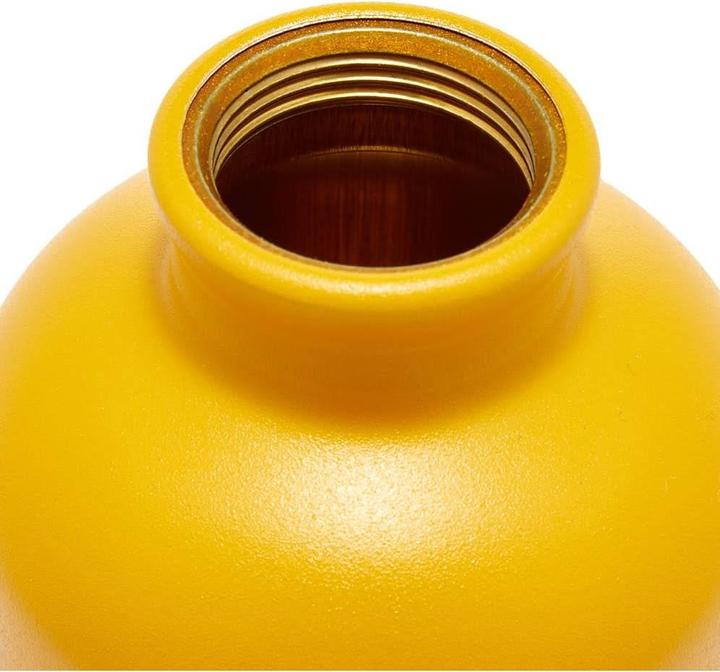 Actual product image Sigg Traveller (0.60 l)