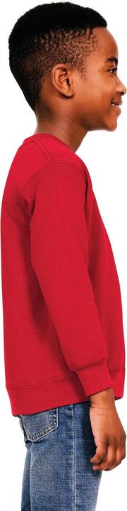 Image du produit Universal Textiles - Sweat - Enfant (152, 158)