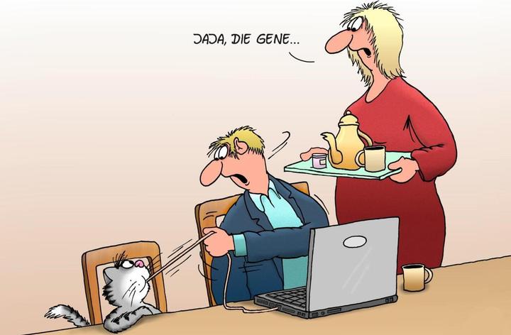 Immagine prodotto Uli Stein Cartoon-Geschenke: Uli Stein – Mäuse! (Tedesco, Pietra Uli, 2022)
