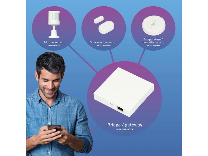 Image du produit Alecto Unité de contrôle Smart-Bridge10