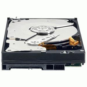 Actual product image WD 2tb Sata HDD (2 TB, 3.5")