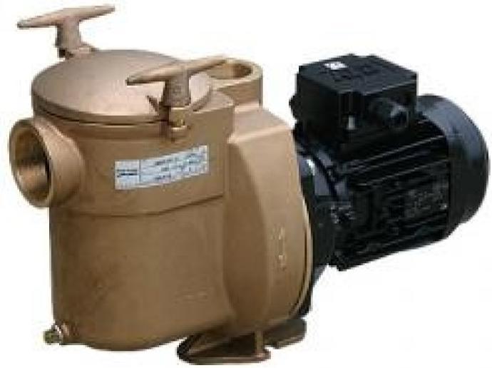 Image du produit Sta-Rite Pompe en bronze BRF-3 1,5cv 1,1kW 400V