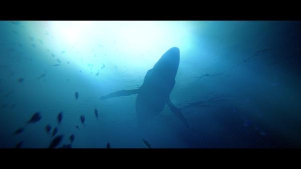 Actual product image Quantic Dreams Under The Waves Deluxe Edition (PS4, DE)