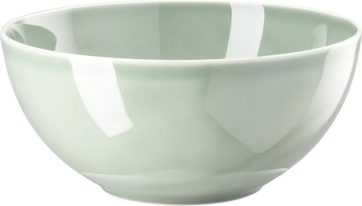 Immagine prodotto Thomas Daily - Verde muschio - Saladier 24 cm (23.80 cm, 2.80 l, 1 x)