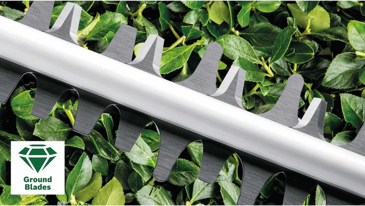 Image du produit Bosch Home & Garden EasyHedgeCut 18-45 Set (Taille-haies sans fil)