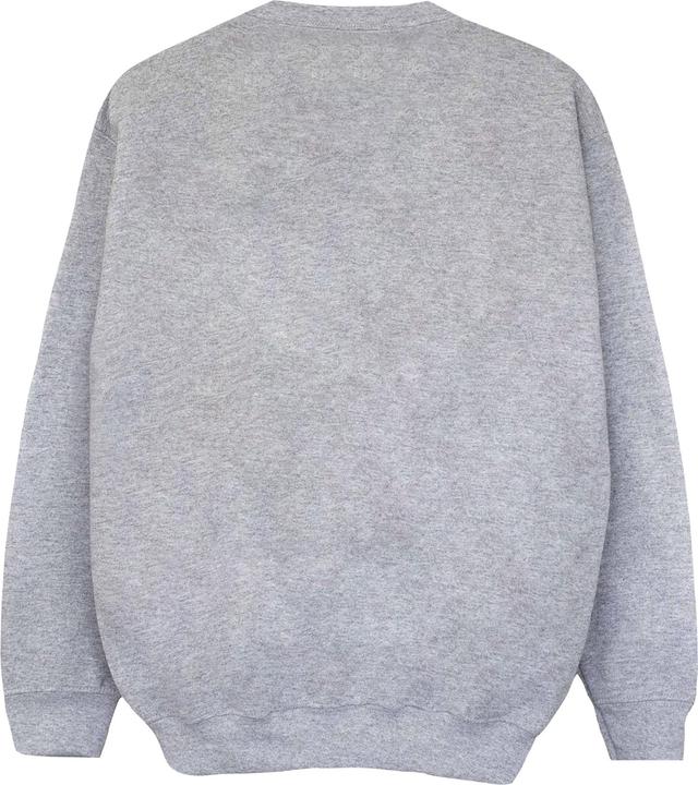 Actual product image Sweatshirt girls (116)