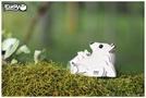 Immagine prodotto Eugy Set 3D Craft Orso Polare (MQ6)