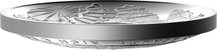 Immagine prodotto Royal Australian Mint Silber Daintree Rainforest 1 oz PP - gewölbte Prägung (999, 2022)