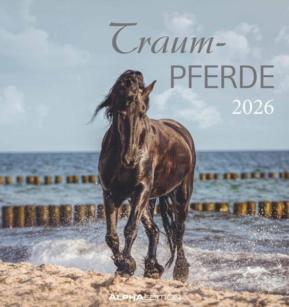 Produktbild Traumpferde2026-Postkartenkalender16x17cm-Horses-zumAufstellenoderAu (16 x 17 cm, Deutsch)