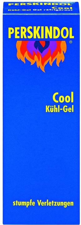 Actual product image Perskindol Cool Gel (1 x, 100 ml, 124 g)