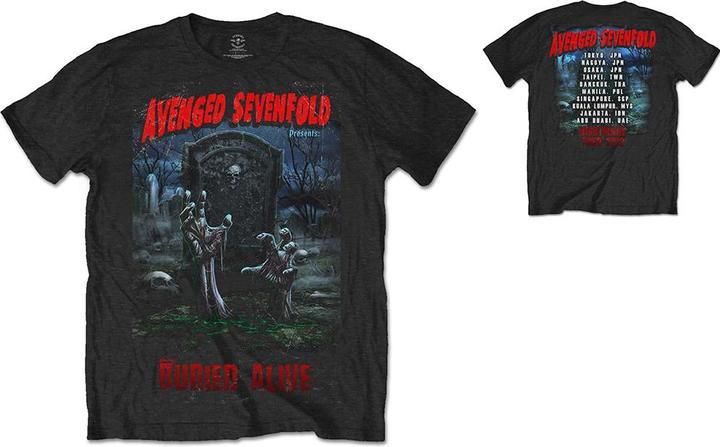 Avenged Sevenfold Buried Alive Tour 2012