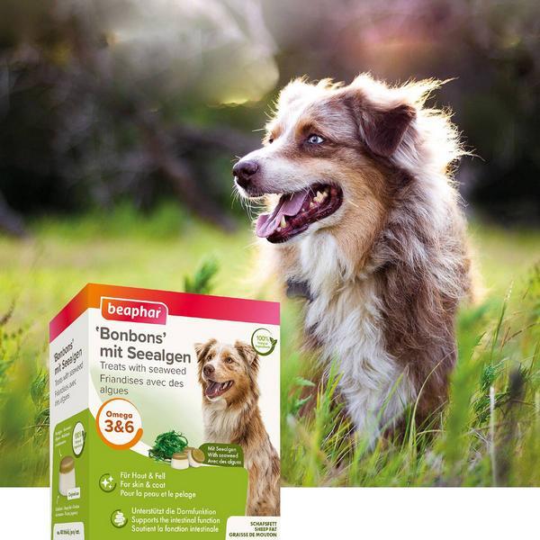 Produktbild beaphar Schafsfett mit Algen (245 g)