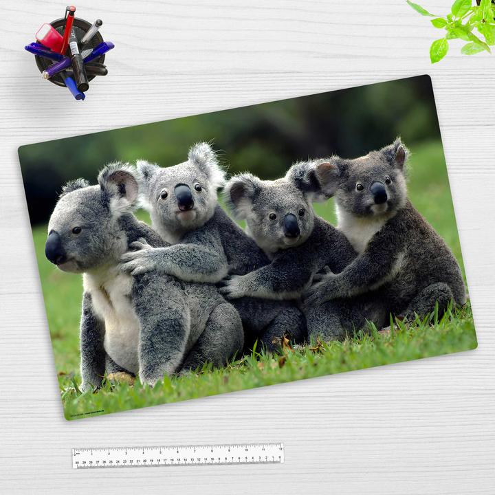 Actual product image CoverYourDesk Schreibunterlage KOALA (60 x 40 cm)