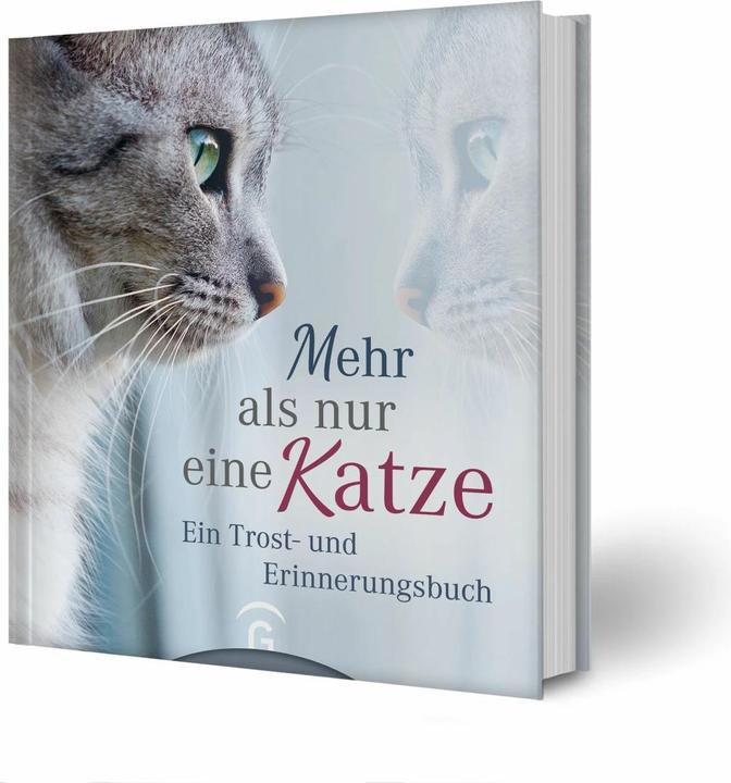 Produktbild Mehr als nur eine Katze (Deutsch, Kristin Hoffmann, 2019)