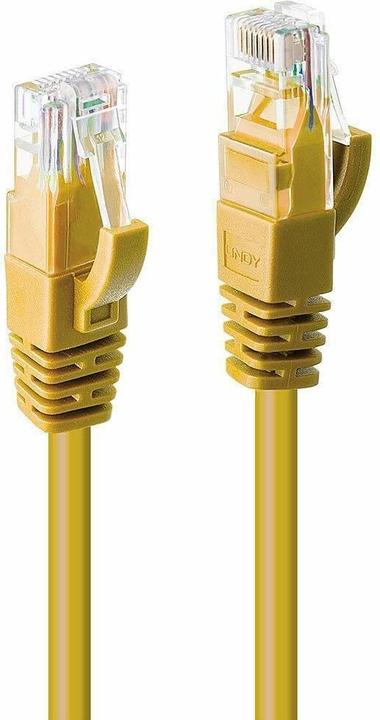 Actual product image Lindy Network cable (U/UTP, CAT6, 3 m)
