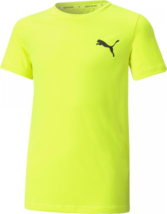 Produktbild Puma ACTIVE Small Logo Tee-586980 (176)