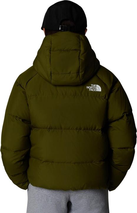 Produktbild North Face Girls North Down Hoodie (L)
