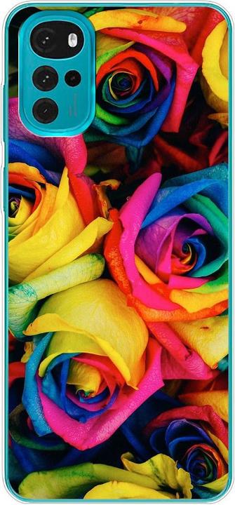 Colourful roses
