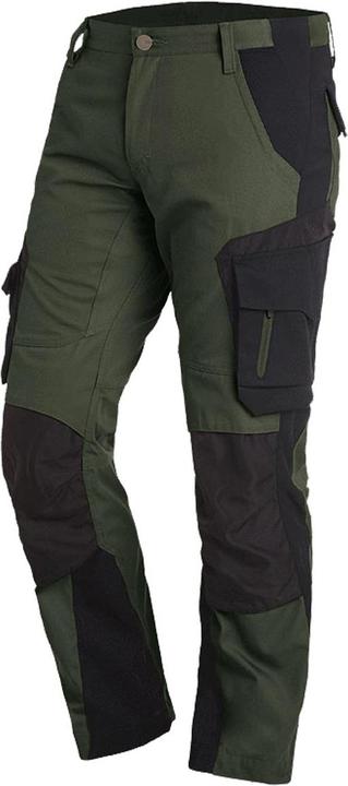 olive, Black
