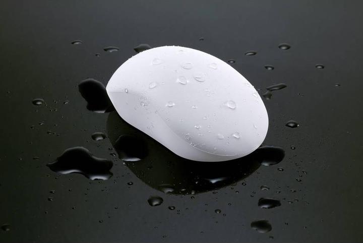 Image du produit Renkforce Souris sans fil résistante aux éclaboussures IP53 pour l'industrie, les laboratoires et la médecine (Sans fil)