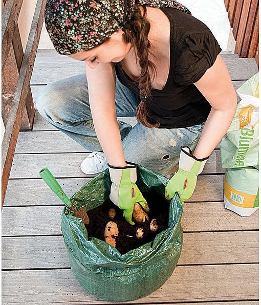 Actual product image Royal Gardineer Set of 3 planting bag for potatoes & co., carrying handles & drainage holes