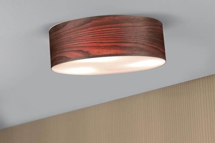 Produktbild Paulmann Neordic Liska (E27)