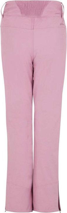 Image du produit Protest CINNAMON snowpants (L)